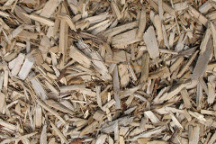 biomass boilers Nemphlar