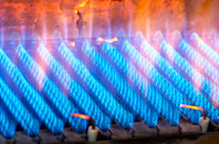 Nemphlar gas fired boilers
